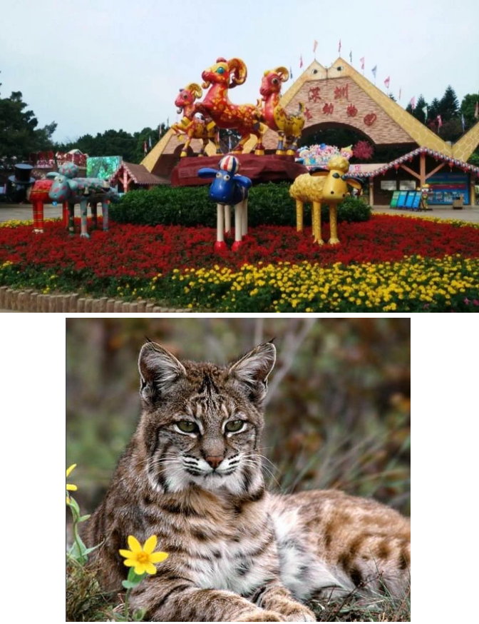 1582115897298734.png image.png