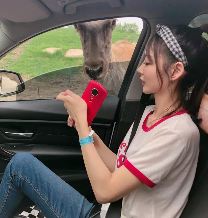 1582771555686810.png image.png