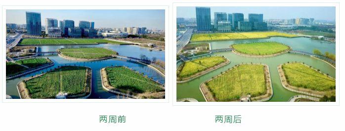 1584098525914663.png image.png