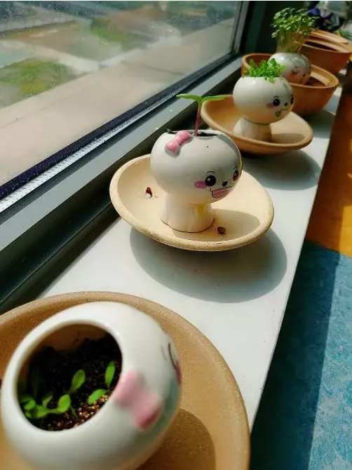 1584098553445909.png image.png