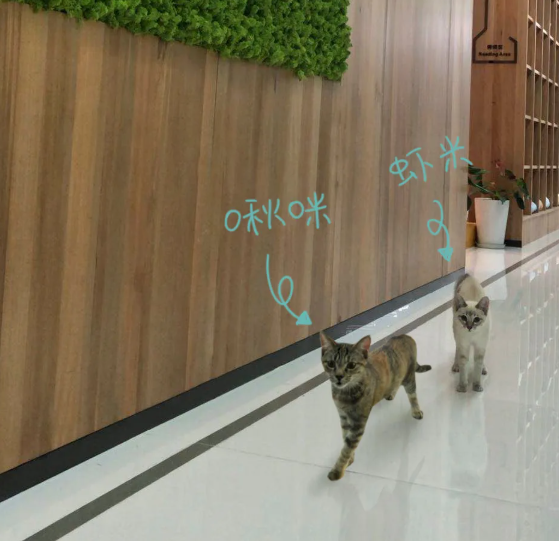 1593661435902352.png image.png