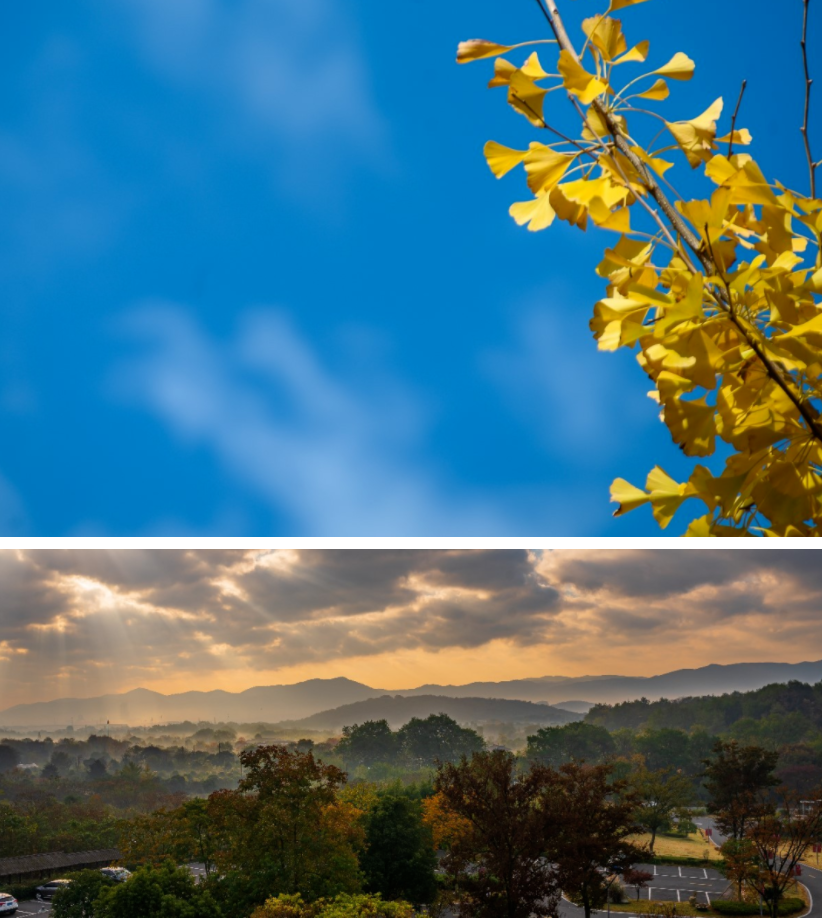 1609239091333967.png image.png