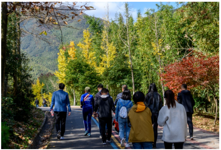 1609239689859504.png image.png