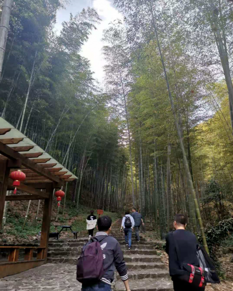 1609239716609524.png image.png